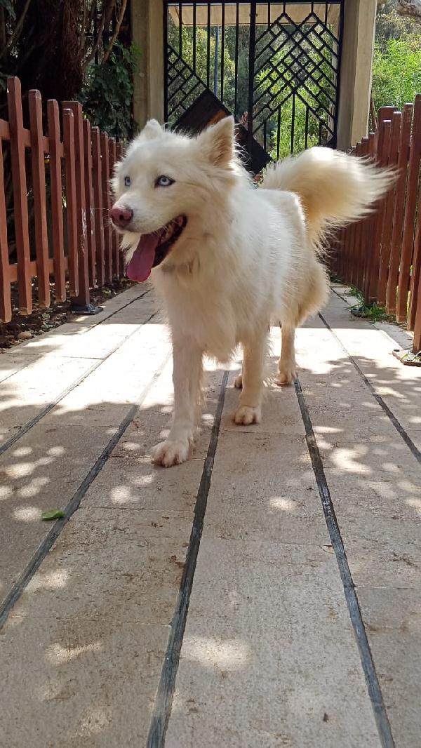 VICKY Foto 5